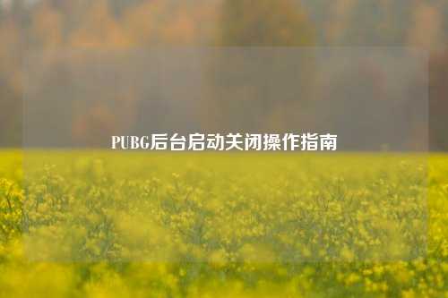 PUBG后台启动关闭操作指南