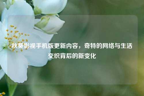 秋葵影视手机版更新内容，奇特的网络与生活交织背后的新变化