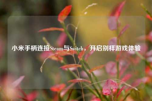小米手柄连接Steam与Switch,开启别样游戏体验