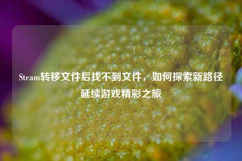 Steam转移文件后找不到文件，如何探索新路径延续游戏精彩之旅
