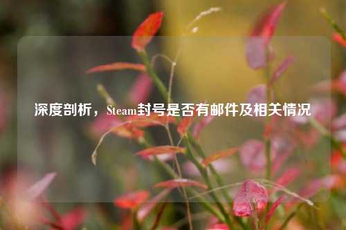 深度剖析，Steam封号是否有邮件及相关情况