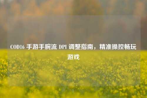 COD16 手游手腕流 DPI 调整指南，精准操控畅玩游戏