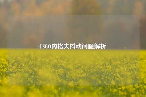 CSGO内格夫抖动问题解析