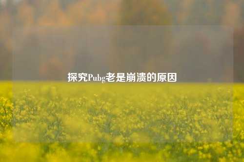 探究Pubg老是崩溃的原因