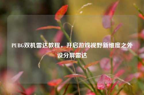 PUBG双机雷达教程,开启游戏视野新维度之外设分屏雷达