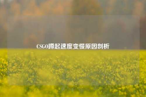 CSGO蹲起速度变慢原因剖析