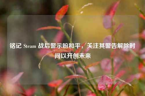 铭记 Steam 战后警示盼和平,关注其警告解除时间以开创未来