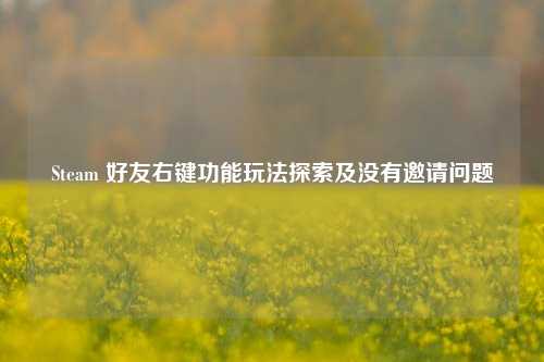 Steam 好友右键功能玩法探索及没有邀请问题