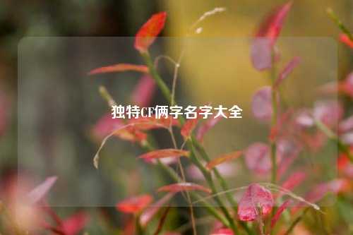 独特CF俩字名字大全