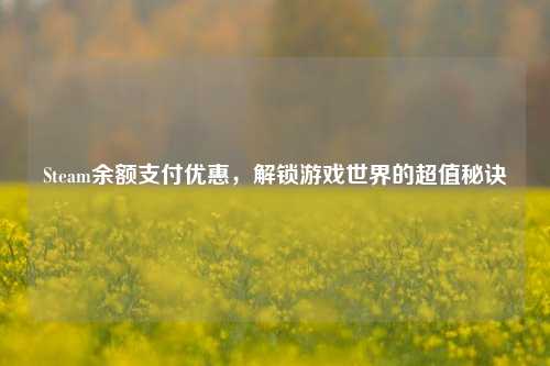 Steam余额支付优惠,解锁游戏世界的超值秘诀