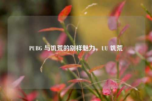 PUBG 与饥荒的别样魅力,UU 饥荒