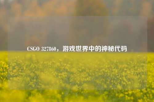 CSGO 327860,游戏世界中的神秘代码
