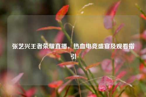 张艺兴王者荣耀直播，热血电竞盛宴及观看指引