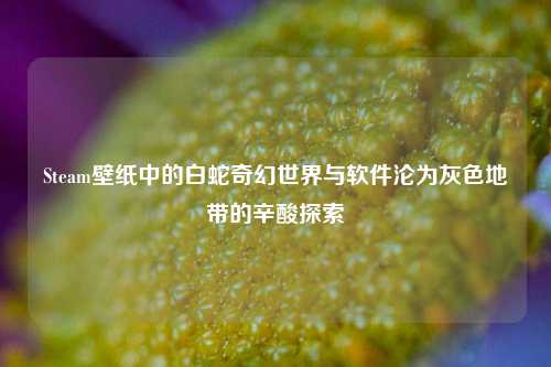 Steam壁纸中的白蛇奇幻世界与软件沦为灰色地带的辛酸探索