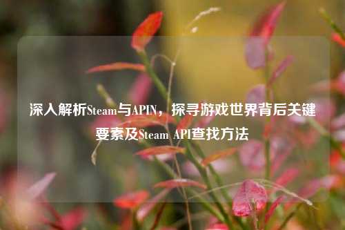 深入解析Steam与APIN，探寻游戏世界背后关键要素及Steam API查找方法