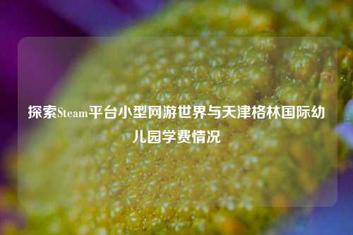 探索Steam平台小型网游世界与天津格林国际幼儿园学费情况
