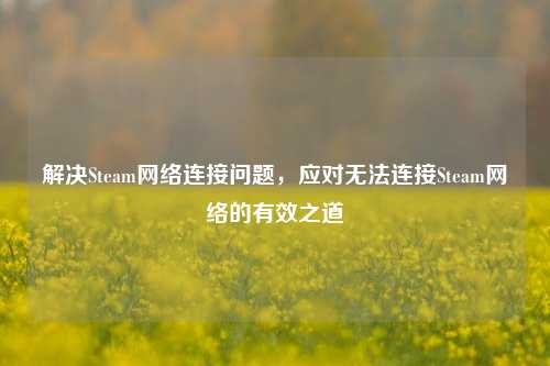 解决Steam网络连接问题，应对无法连接Steam网络的有效之道