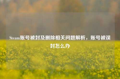 Steam账号被封及删除相关问题解析，账号被误封怎么办