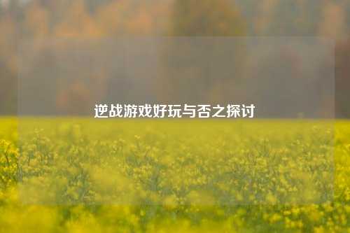 逆战游戏好玩与否之探讨