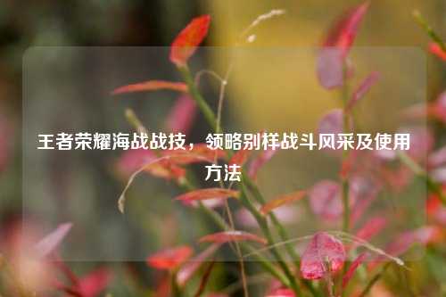 王者荣耀海战战技，领略别样战斗风采及使用方法