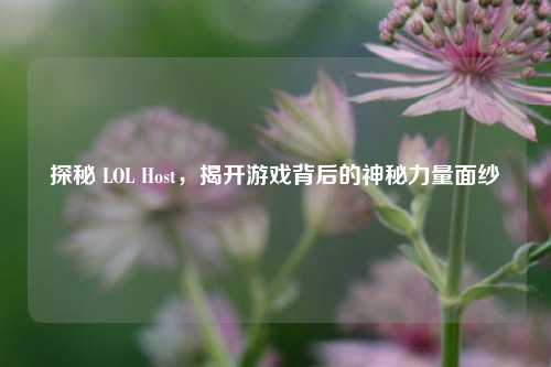 探秘 LOL Host，揭开游戏背后的神秘力量面纱