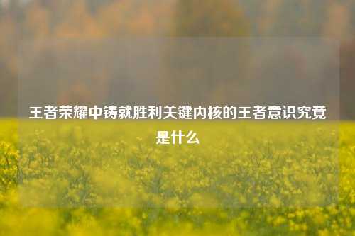 王者荣耀中铸就胜利关键内核的王者意识究竟是什么