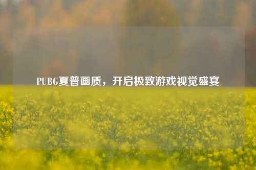 PUBG夏普画质，开启极致游戏视觉盛宴