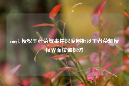 rocyk 授权王者荣耀事件深度剖析及王者荣耀授权界面位置探讨