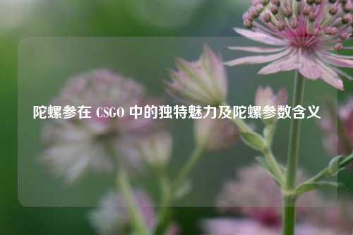 陀螺参在 CSGO 中的独特魅力及陀螺参数含义