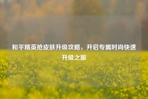 和平精英抢皮肤升级攻略，开启专属时尚快速升级之旅