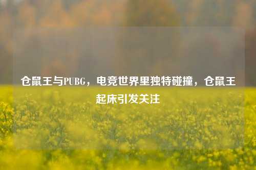 仓鼠王与PUBG，电竞世界里独特碰撞，仓鼠王起床引发关注