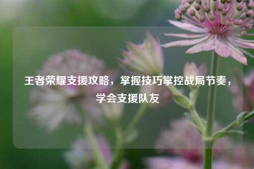 王者荣耀支援攻略，掌握技巧掌控战局节奏，学会支援队友