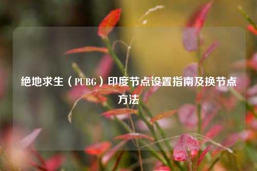 绝地求生(PUBG)印度节点设置指南及换节点方法