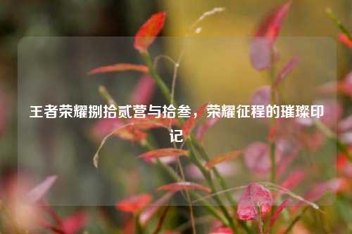 王者荣耀捌拾贰营与拾叁，荣耀征程的璀璨印记