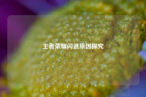 王者荣耀闪退原因探究