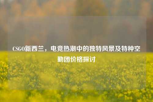 CSGO新西兰，电竞热潮中的独特风景及特种空勤团价格探讨