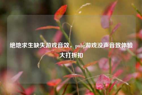 绝地求生缺失游戏音效，pubg游戏没声音致体验大打折扣