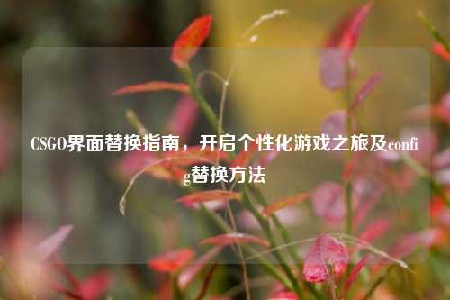 CSGO界面替换指南,开启个性化游戏之旅及config替换方法
