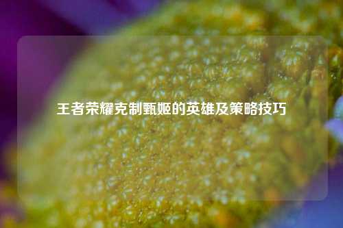 王者荣耀克制甄姬的英雄及策略技巧