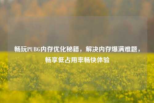 畅玩PUBG内存优化秘籍，解决内存爆满难题，畅享低占用率畅快体验