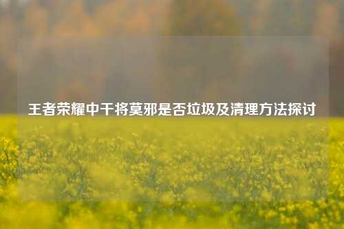 王者荣耀中干将莫邪是否垃圾及清理方法探讨