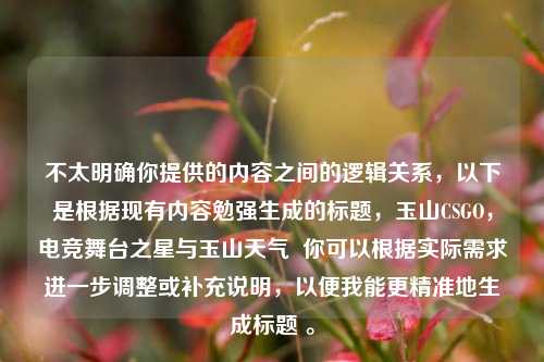 不太明确你提供的内容之间的逻辑关系，以下是根据现有内容勉强生成的标题，玉山CSGO，电竞舞台之星与玉山天气  你可以根据实际需求进一步调整或补充说明，以便我能更精准地生成标题 。