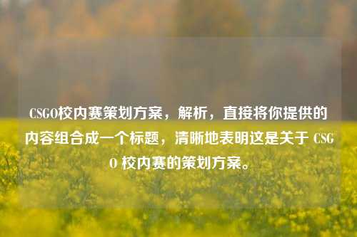 CSGO校内赛策划方案，解析，直接将你提供的内容组合成一个标题，清晰地表明这是关于 CSGO 校内赛的策划方案。