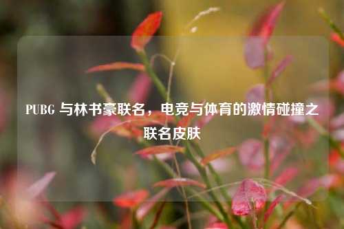 PUBG 与林书豪联名，电竞与体育的激情碰撞之联名皮肤