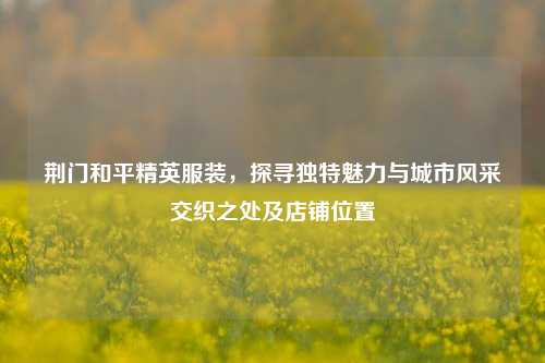 荆门和平精英服装，探寻独特魅力与城市风采交织之处及店铺位置