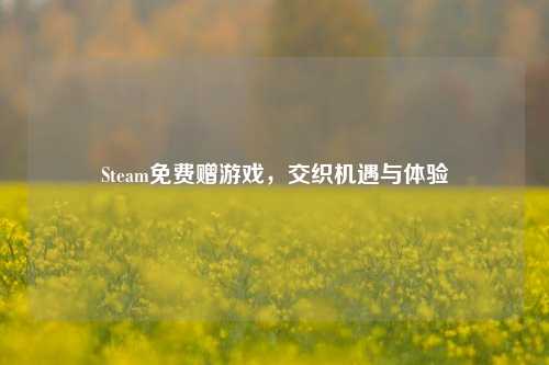 Steam免费赠游戏，交织机遇与体验