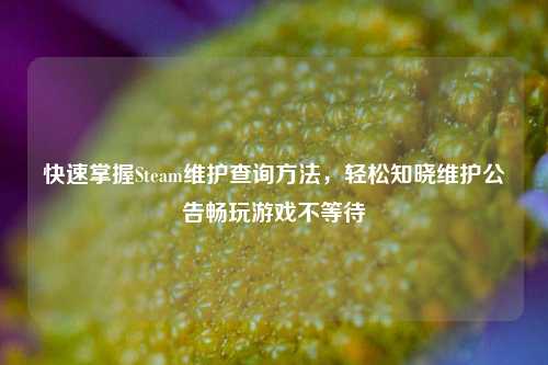 快速掌握Steam维护查询方法,轻松知晓维护公告畅玩游戏不等待