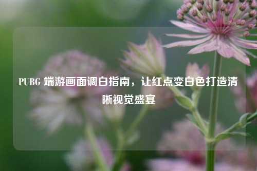 PUBG 端游画面调白指南,让红点变白色打造清晰视觉盛宴