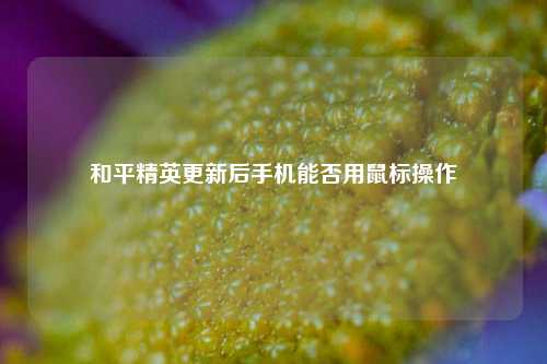 和平精英更新后手机能否用鼠标操作