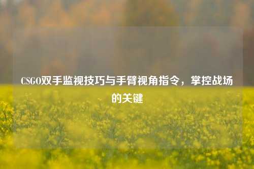 CSGO双手监视技巧与手臂视角指令，掌控战场的关键